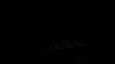 goatchocolate online show from 12/22/24, 05:45