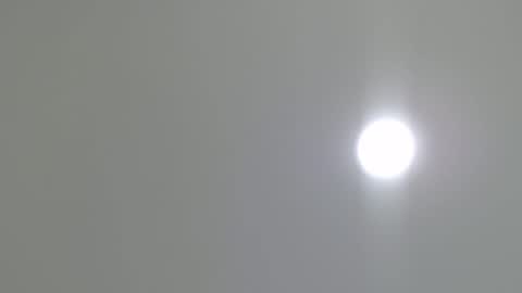 goath_08 online show from 02/07/25, 10:41