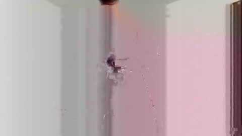 Snapshot of goblue4133 chatting on 12/25/24, 05:37 goblue4133 online show from 12/25/24, 05:37