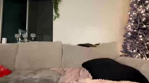 GoddessMayvn online show from 12/26/24, 03:59