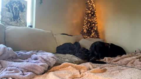 GoddessMayvn online show from 01/10/25, 03:48