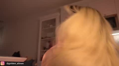 Snapshot of golden_alinee chatting on 02/23/25, 09:59 Aline meow   online show from 02/23/25, 09:59