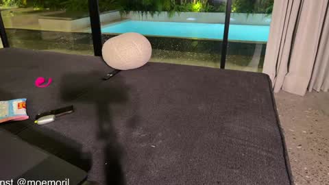 Aline meow   online show from 02/22/26, 02:04