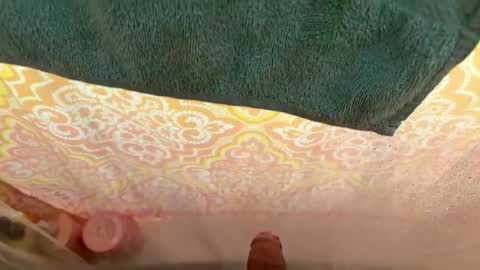 Snapshot of goldio27 chatting on 11/14/25, 11:35 goldio27 online show from 11/14/25, 11:35