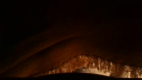 Serg online show from 04/03/26, 10:13