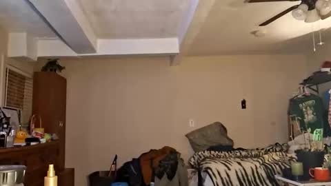 Snapshot of gonr369 chatting on 02/17/26, 12:18 gonr369 online show from 02/17/26, 12:18