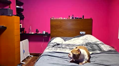 gonzalo online show from 03/23/26, 12:36