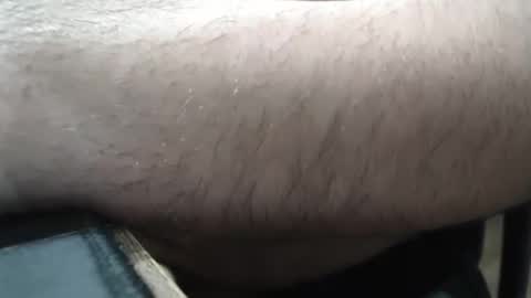 Gordo Brasil online show from 05/15/26, 11:56