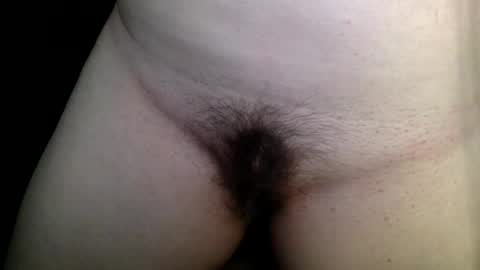 Kitten online show from 02/03/25, 10:43