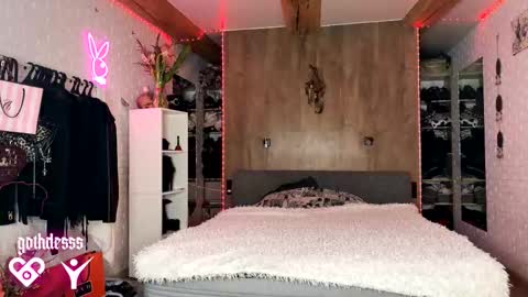    online show from 02/17/26, 03:25