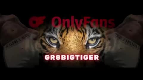 gr8bigtiger online show from 10/10/25, 09:52