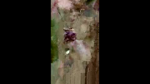 grabisz30 online show from 05/11/26, 03:29
