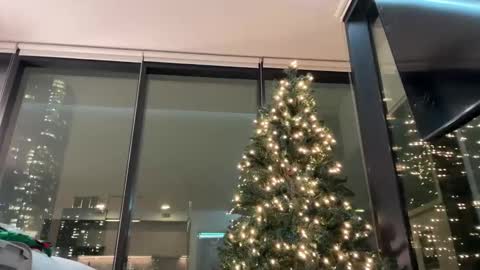 Gracie Mae online show from 12/03/25, 11:36