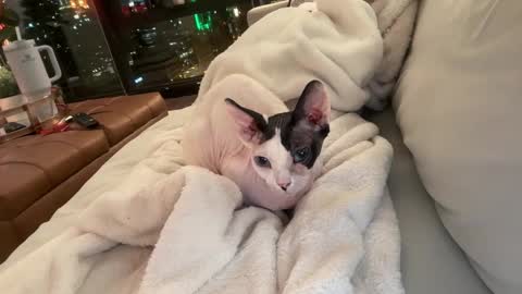 Gracie Mae online show from 12/23/25, 03:48