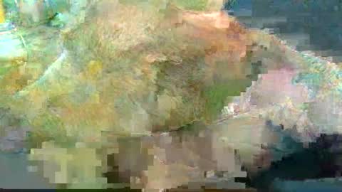 Snapshot of greatbiggs6969 chatting on 01/02/25, 02:35 greatbiggs6969 online show from 01/02/25, 02:35