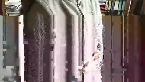 greyhounddog online show from 11/05/25, 09:42