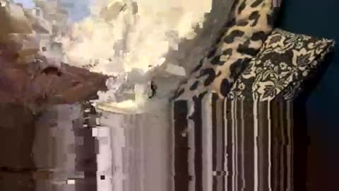 Snapshot of greymen2020 chatting on 02/16/26, 06:04 greymen2020 online show from 02/16/26, 06:04