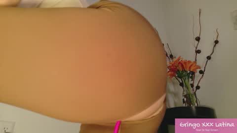 gringo_xxx_latina online show from 11/20/25, 03:50