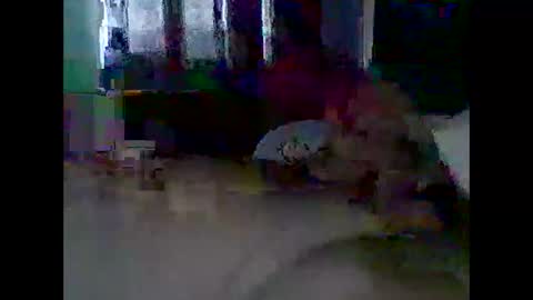 grittslappa online show from 11/11/25, 12:21