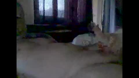 grittslappa online show from 11/14/25, 12:42