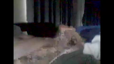 grittslappa online show from 02/17/26, 01:24