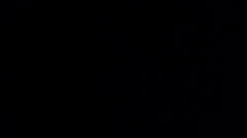 grpmunky69 online show from 12/29/24, 08:11