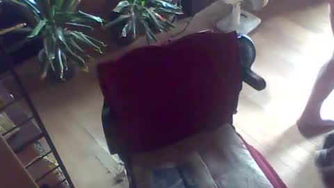 Guido online show from 07/26/26, 10:55