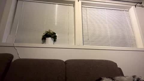 Snapshot of guapascandixxx chatting on 10/20/25, 01:06 scandixxxs Cam online show from 10/20/25, 01:06