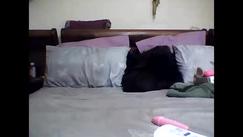 gucci-bx online show from 03/08/25, 02:23