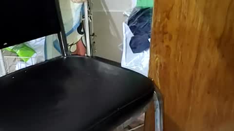 guillermo723 online show from 04/09/26, 02:33