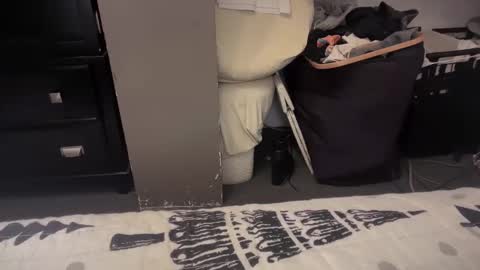 gumbywanna online show from 12/20/24, 01:36