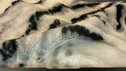 gumbywanna online show from 11/26/25, 02:56