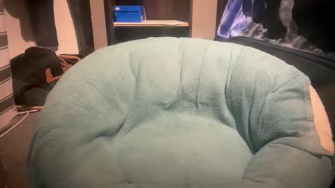 gumbywanna online show from 01/06/26, 11:51