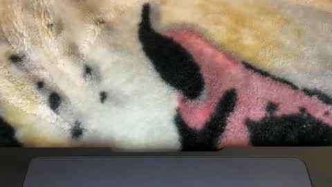 gumbywanna online show from 03/09/26, 06:06