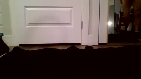 Guy Spartan online show from 01/12/26, 05:07