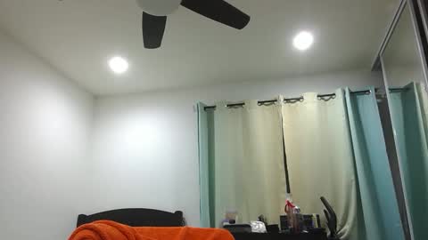 h0nest84 online show from 12/31/24, 06:16