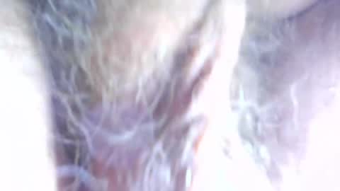 hagridthehorrible online show from 04/07/26, 11:32