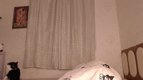 Snapshot of haidyhaven chatting on 07/30/26, 03:16 haidyhaven online show from 07/30/26, 03:16
