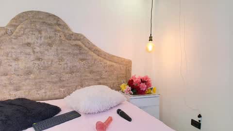 Snapshot of haileymiller1 chatting on 12/11/24, 09:19 Haileymiler online show from 12/11/24, 09:19