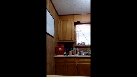 hailstorm32 online show from 04/19/26, 06:54