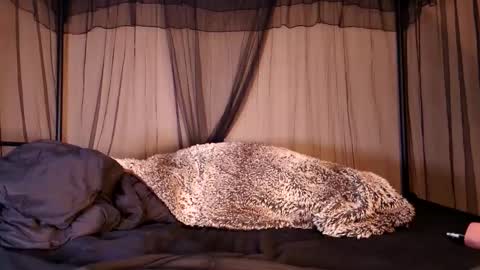 HailWilds online show from 09/12/25, 06:35