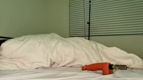 HailWilds online show from 02/18/26, 11:33