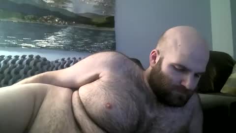 Hairiest Bear online show from 01/12/25, 08:36