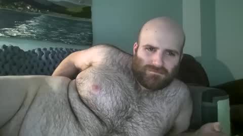 Hairiest Bear online show from 01/14/25, 03:47