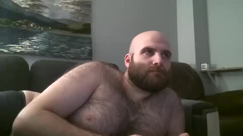 Hairiest Bear online show from 01/25/25, 08:53