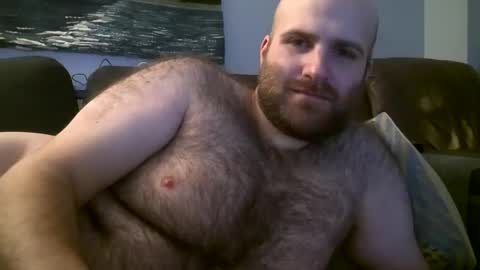 Hairiest Bear online show from 02/18/25, 04:58