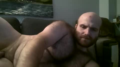 Hairiest Bear online show from 03/02/25, 08:16