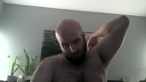 Snapshot of hairiestbear chatting on 04/01/26, 06:25 Hairiest Bear online show from 04/01/26, 06:25