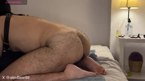 hairyarabbear online show from 09/13/25, 11:59