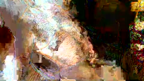 hairybear813 online show from 01/05/25, 11:44